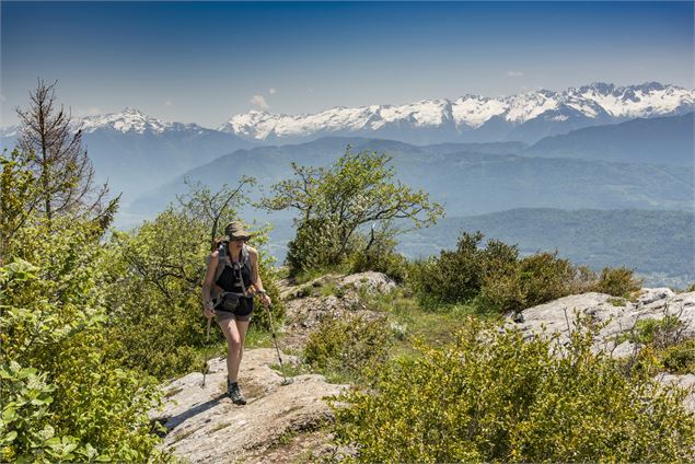 la Savoyarde - Savoie Mont Blanc - Lansard