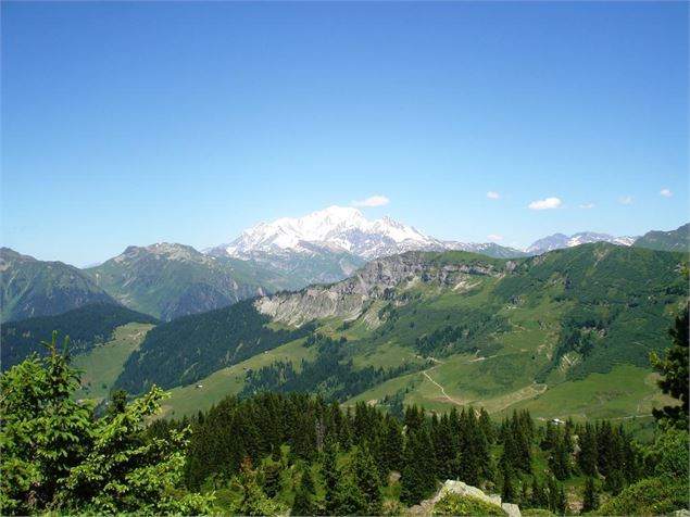 Rando sur le Plateau du Cuvy - sblanc