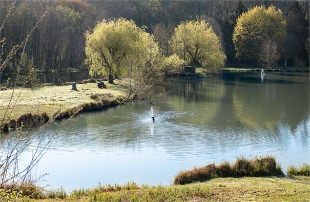 Circuit pédestre : Lac Neyton et le Merdanson - M-Art Photographie