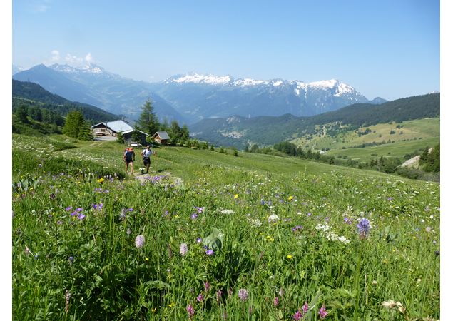 Grand Tour de Tarentaise - Rando pédestre 27 jours - Caroline Freslon-Bette