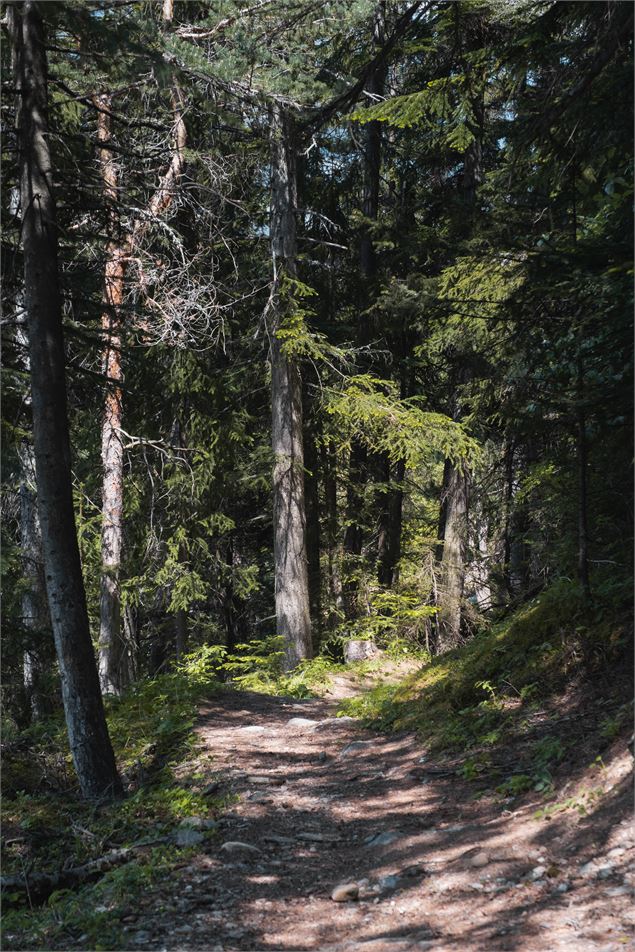 Sentier du Périmètre - CCHMV APN