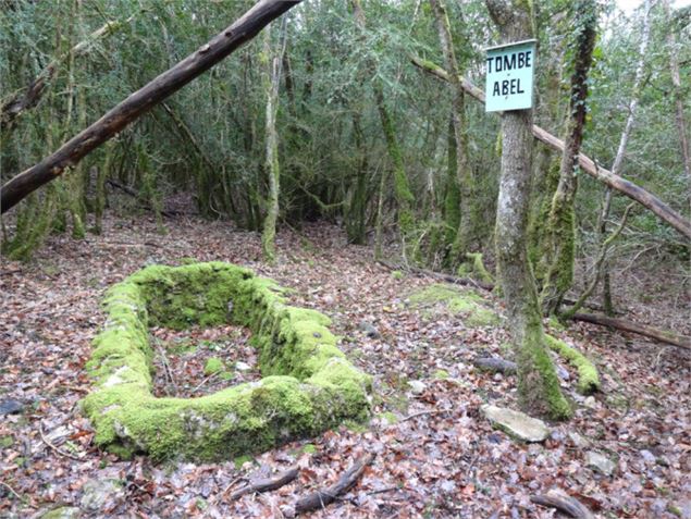 Tombe Abel - Camp de Cize