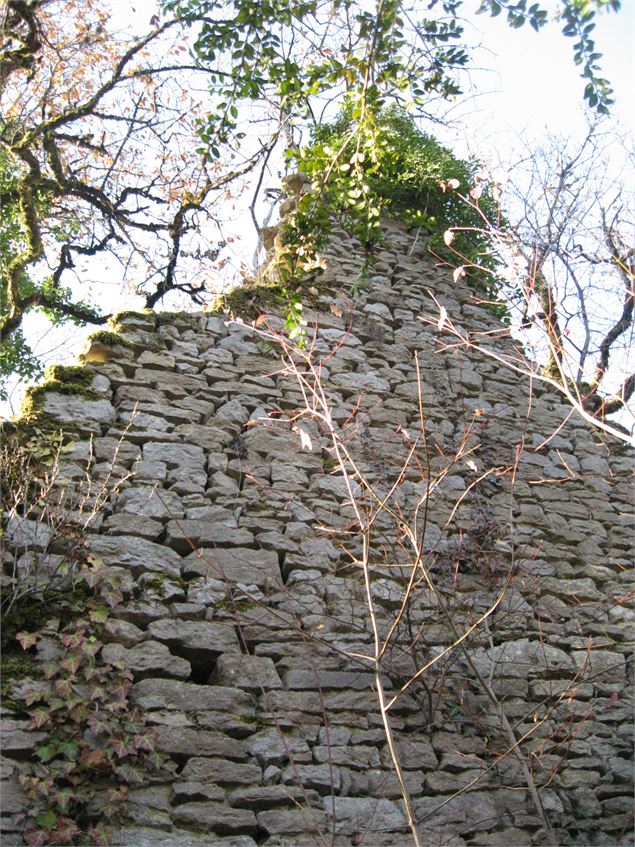 Randonnée - Les crêtes et ruines de la maison forte de Lomont