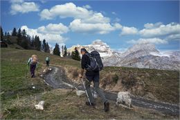 Crête des Bénés - SavoieMontBlanc-Lansard