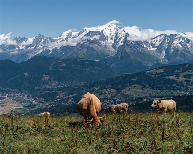 Vue depuis le plateau - © Marine Martin