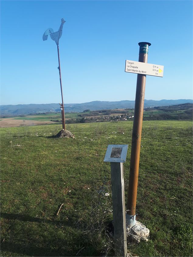 Mont Turgon et son coq - S calland