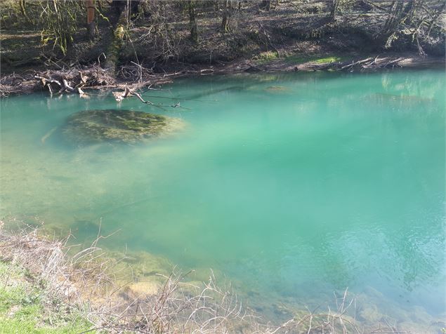 La Bocquette et les gorges du Suran - S Calland