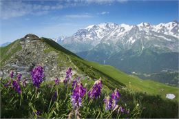 L'Aiguille Croche et le massif du Mont-Blanc - Gilles Lansard / Les Contamines Tourisme