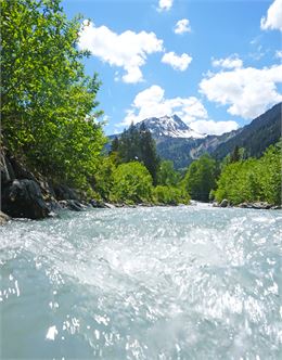 Le Bonnant et l'Aiguille de Roselette