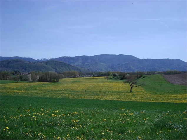 Sentier Le Trésor de Gigi La Mouette Rieuse - OT SCIEZ