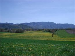 Sentier Le Trésor de Gigi La Mouette Rieuse - OT SCIEZ