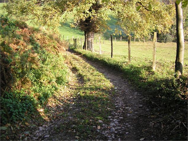 Chemin sur la commune de La Motte Servolex - Ville de La Motte Servolex