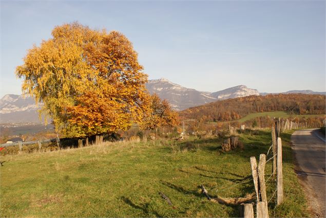 Montée au Col du Crucifix depuis La Motte Servolex - Ville de La Motte Servolex