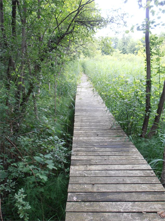 Boucle des Janons à La Motte Servolex - Ville de La Motte Servolex