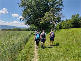 Sentier de la Pomme - Rumilly - Boussy - Office de Tourisme Rumilly-Albanais