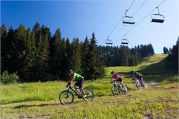 Domaine de vtt de descente été - @TristanShu - GMDS