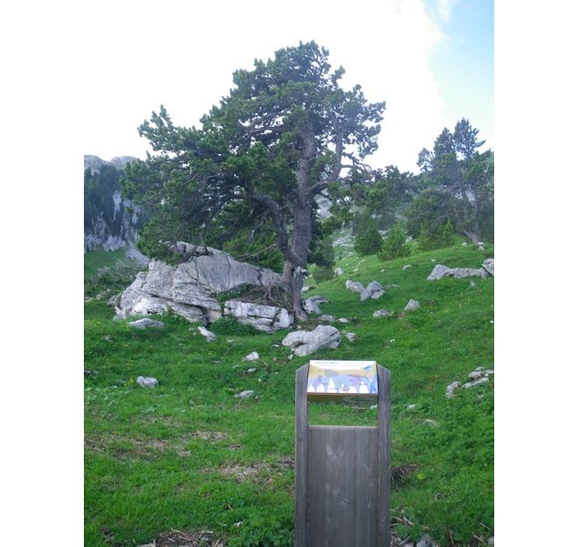 Sentier découverte de la Sambuy - Office de tourisme