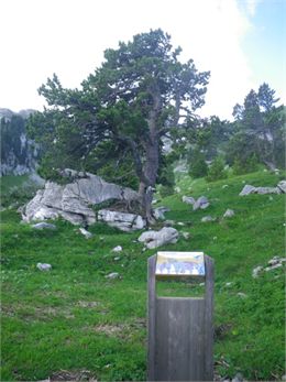 Sentier découverte de la Sambuy - Office de tourisme