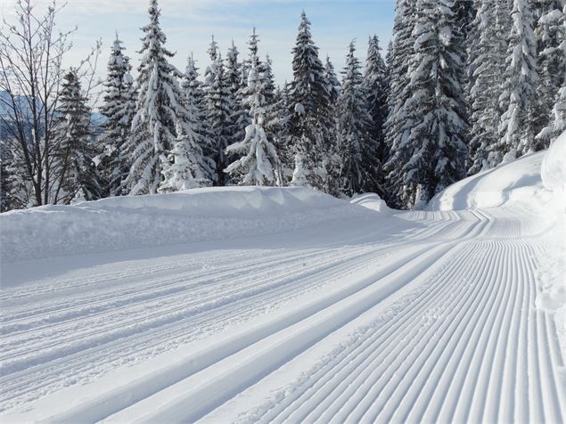 Domaine de Ski de Fond Les Gets - Ot Les Gets