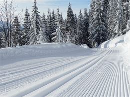 Domaine de Ski de Fond Les Gets - Ot Les Gets