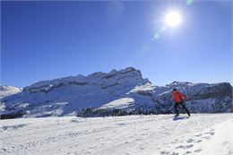 Skieur de fond - OT FLAINE-M.DALMASSO