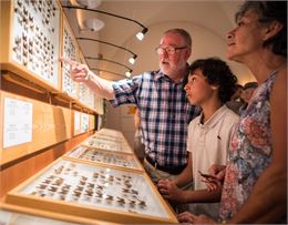 Muséum Papillons et insectes à Faverges - T.Nalet/Source du Lac