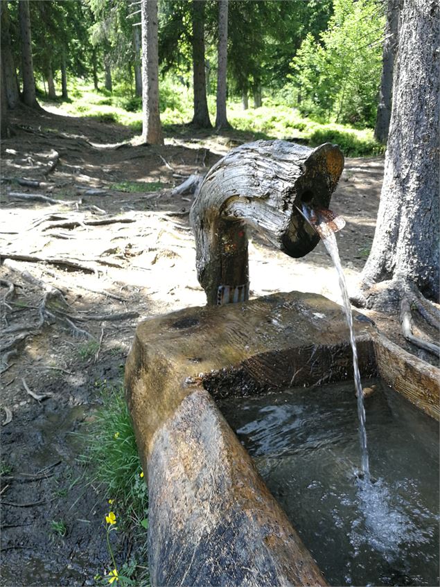 Bassin aire des plaines