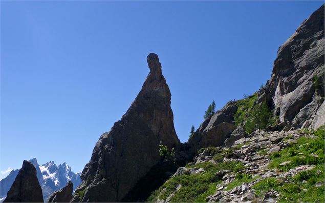 Aiguillette Argentière