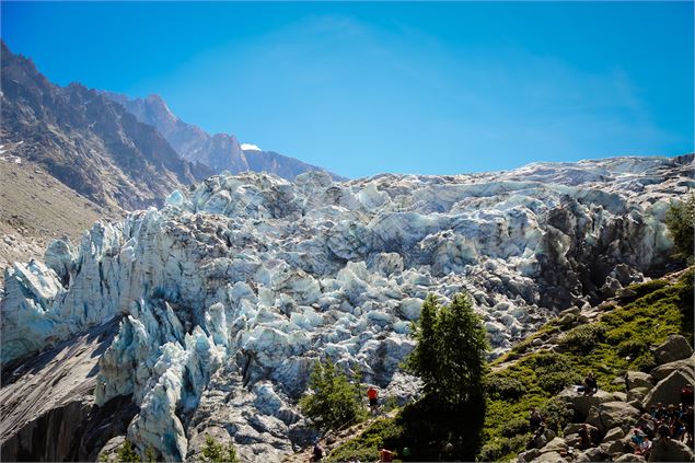 Glacier d'Argentière - Morgane Raylat