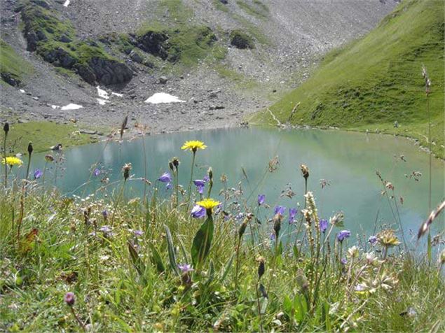 Lac d'Amour - C.Chamiot-Poncet