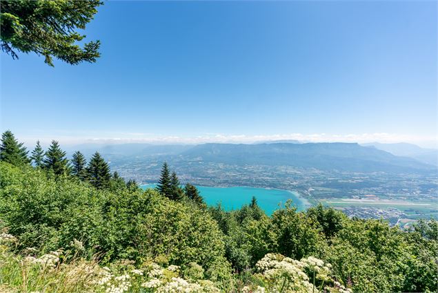 Vue panoramique depuis la table d'orientation - Golden Réseau