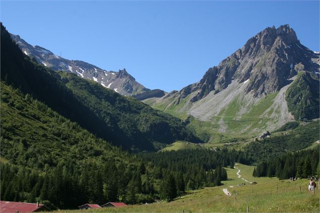 Reserve Naturelle des Contamines Montjoie - Les Contamines Tourisme