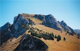 Le Mont Billat - Office de Tourisme des Alpes du Léman