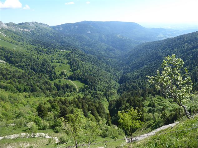 Alpages et forêt au coeur du Creux de l'Envers - Anne Marie Barbe