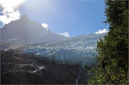 Glacier des Bossons - Salomé Abrial