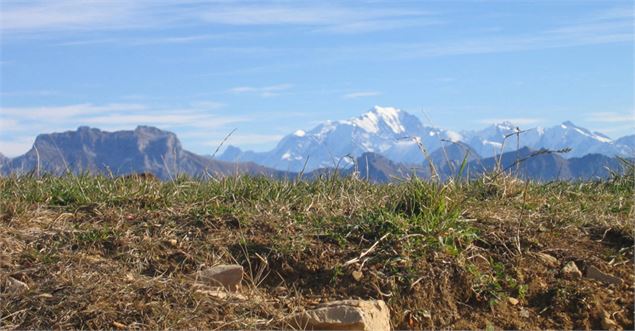 Le Semnoz en été - SIPAS