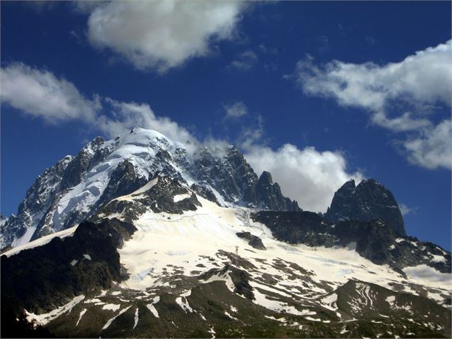 Aiguille des Grands Montets - Wikipédia