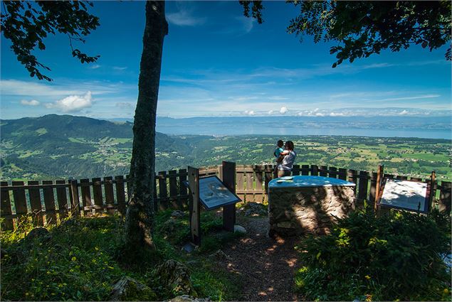 Panaroma depuis le belvédère de Tréchauffé (La Forclaz) - SIAC - A. Berger