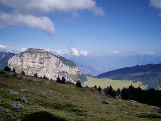 Col de l'Alpette - Entremont le Vieux - Arpin Véronique