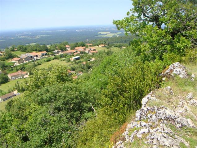 Plateau des Conches