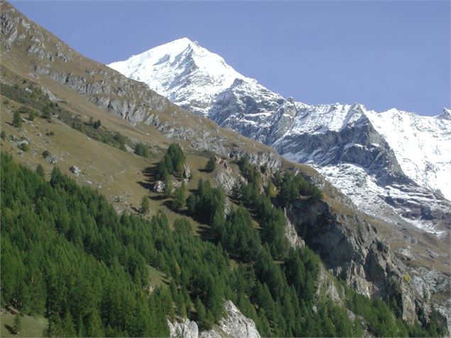 Le Mont-Pourri avec ses 3779 mètres - Office de Tourisme de Peisey-Vallandry