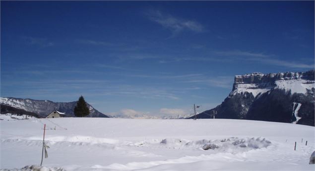 Col de la Cluse - Le Désert d'Entremont - Arpin Véronique