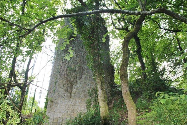 Point de vue des ruines de Montdidier