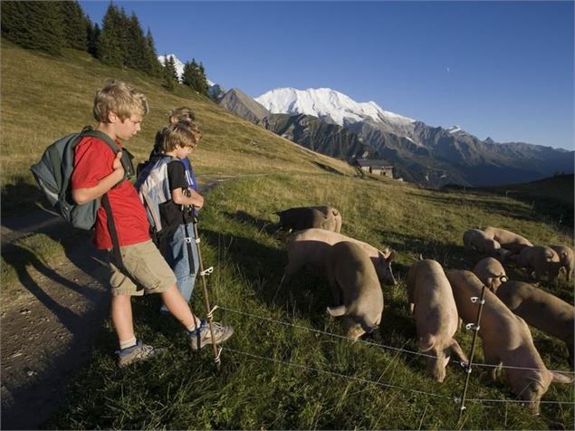 Randonnée Alpage de la Charme - OT LES HOUCHES