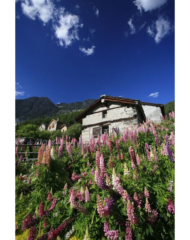 Vallon de Polset à Modane - ©Inconnu