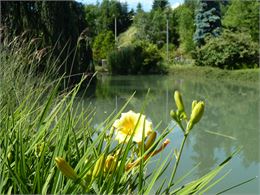 Parc Jardin des Iris