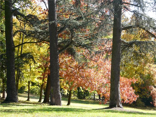 Parc des Minimes - MONTMERLE-SUR-SAÔNE