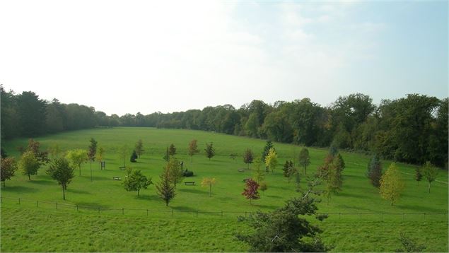 Arboretum de Ripaille