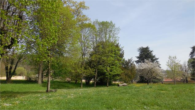 Parc du château de la Sathonette - Mme Decoeur