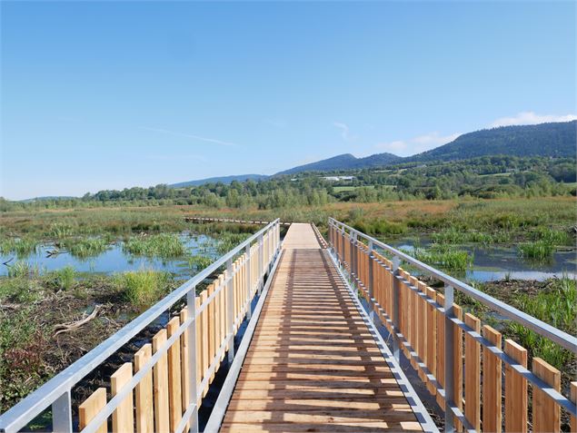 Ponton sur pilotis - Jérôme Pruniaux agence ARGO Haut-Bugey Tourisme